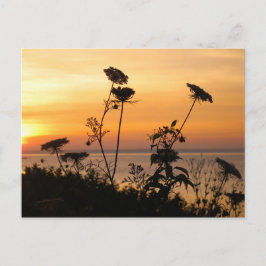 Postal Reina Ana en el atardecer - Isla de los Pescadores
