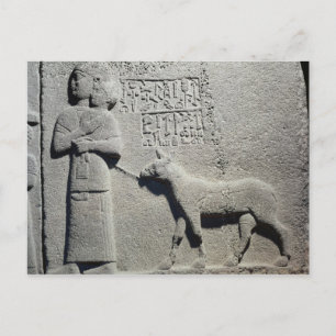 Postal Reina Tuwarissa, esposa del rey Araras