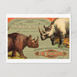 Postal Reino de los animales Rhinoceros