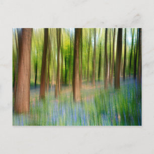 Postal Reino Unido Bosque de roble azul en primavera
