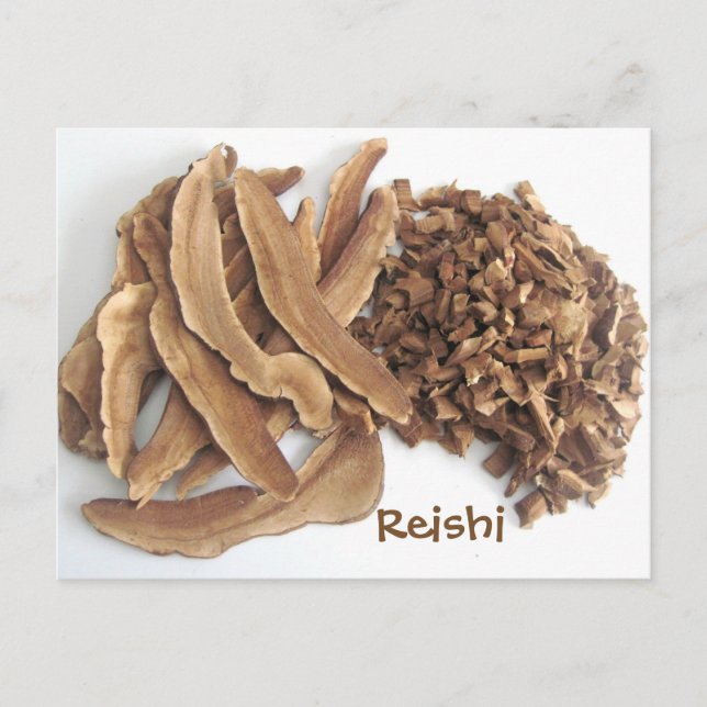 Postal Reishi Mushroom (Anverso)