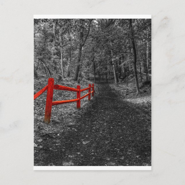 Postal Reja roja (Anverso)