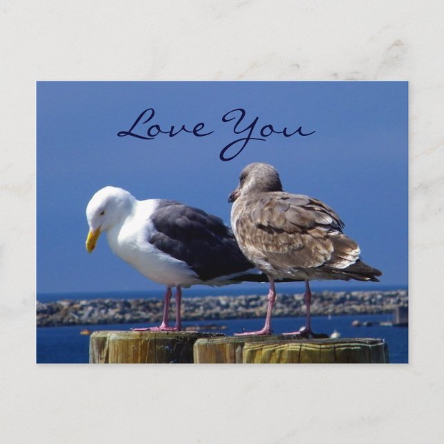 Postal Relaciones_ (Anverso)