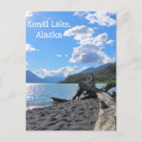 Relajante Driftwood Beach Log Kenai Lake, Alaska