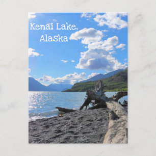 Postal Relajante Driftwood Beach Log Kenai Lake, Alaska