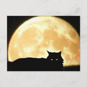 Postal Relajante gato negro y luna llena
