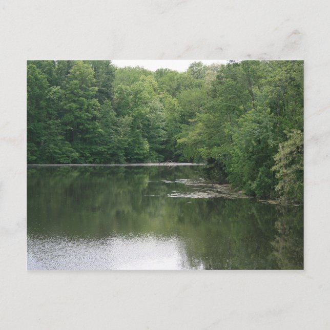 Postal Relajarse (Anverso)