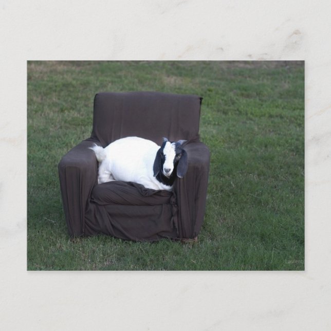 Postal Relájate (Anverso)