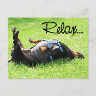 Postal Relájate Bien - Dachshund - Hoover