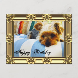 Postal Relájese con el cumpleaños de Yorkie