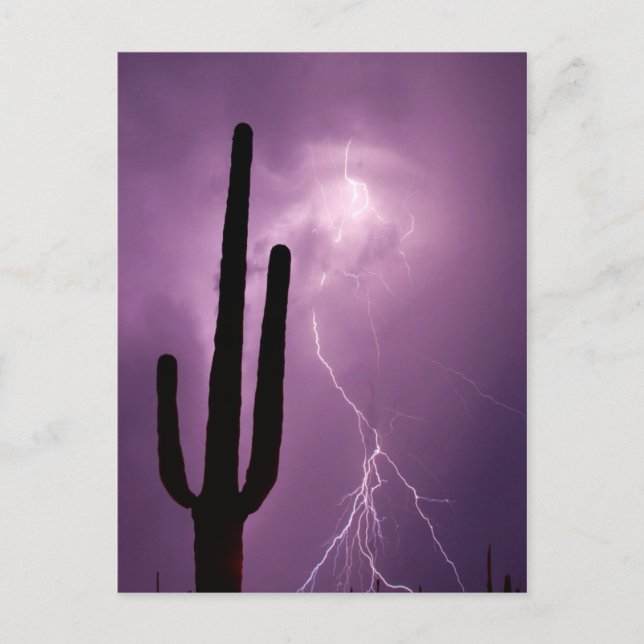 Postal Relámpago púrpura y cactus, AZ (Anverso)