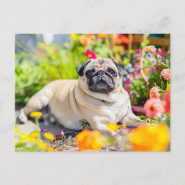 Postal Relaxing Pug Chilling in Garden Space