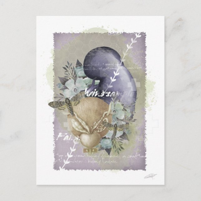 postal "Renal" (Anverso)