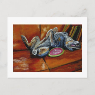 Postal rendirse a la frisbee