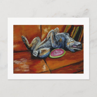 Postal rendirse a la frisbee