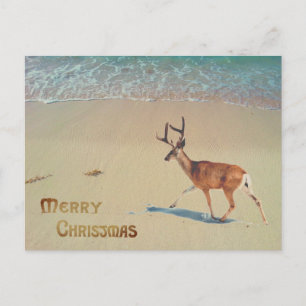 Postal Reno en la playa surreal Feliz Navidad