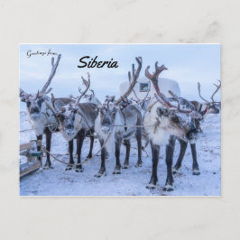 Postal Reno en Siberia