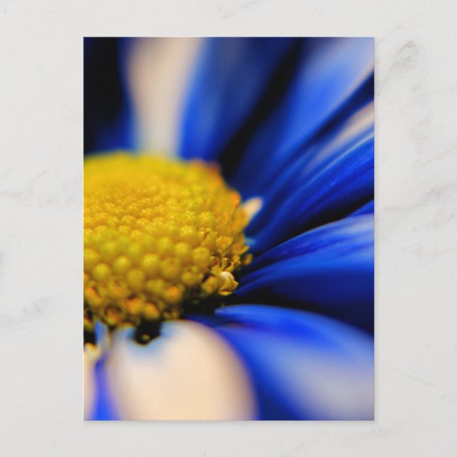 Postal Rentabilidad (Anverso)