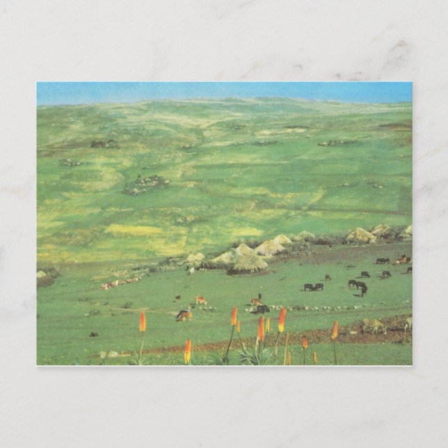 Postal Réplica de Etiopía de época, aldea de chozas cónic (Anverso)