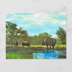 Postal Réplica Rinocerontes de época, reserva sudafricana