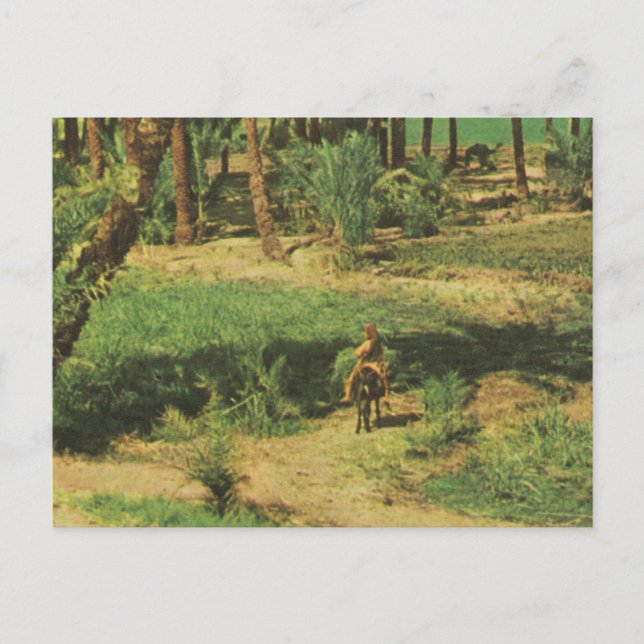 Postal Réplica Vintage Egipto, agricultura del delta del  (Anverso)