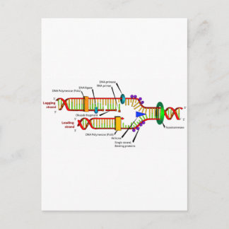 Postal replicación del ADN