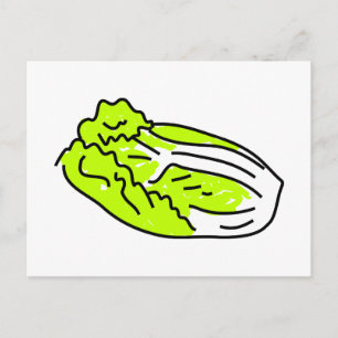 Postal Repollo chino