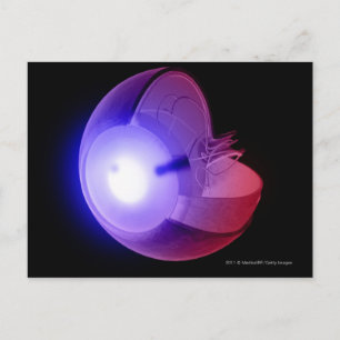 Postal Representación de la estructura ocular