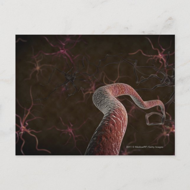 Postal Representación digital de neuronas (Anverso)