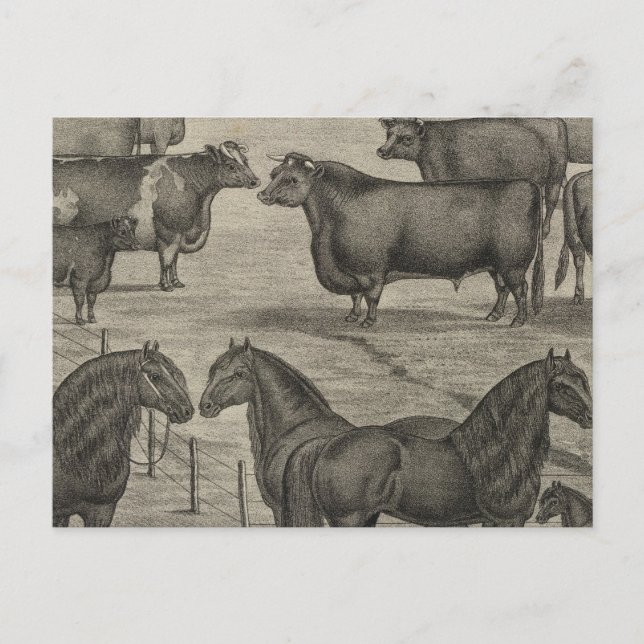 Postal Representantes de Kansas (Anverso)