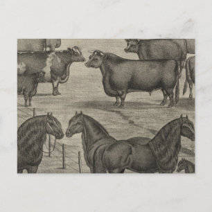 Postal Representantes de Kansas