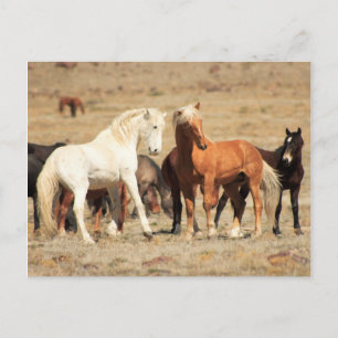 Postal Reproducción de energía