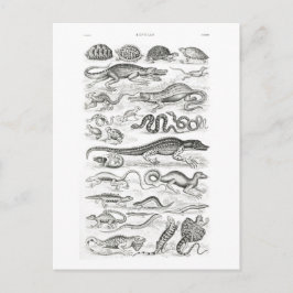 Postal Reptiles de Oliver Goldsmith - arte vintage