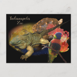 Postal Reptiles y aves del zoológico de Indianápolis