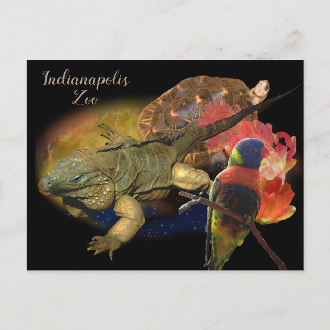 Postal Reptiles y aves del zoológico de Indianápolis (Anverso)