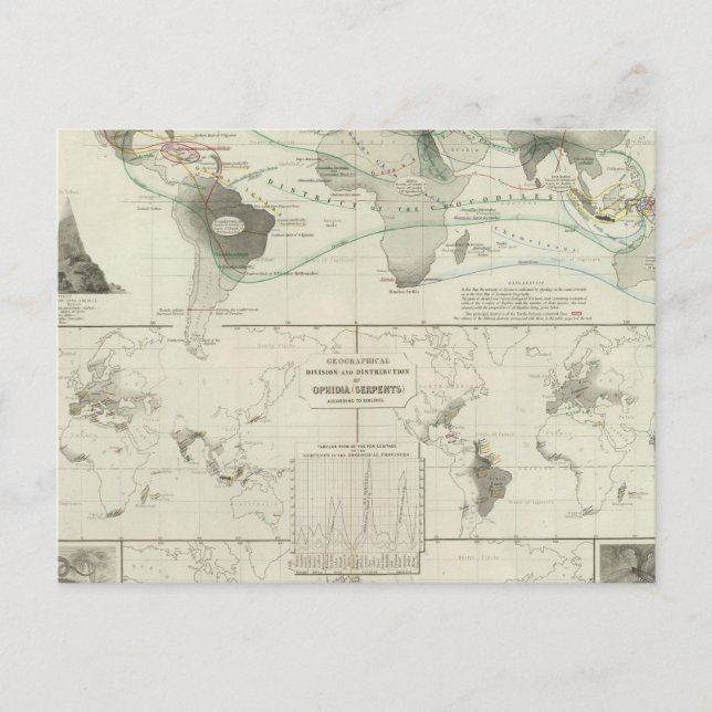 Postal Reptilia, Ophidia (Anverso)