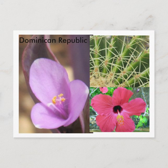 Postal República Dominicana (Anverso)