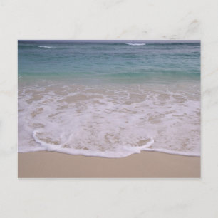 Postal República Dominicana, Caribe, Punta Cana, 8