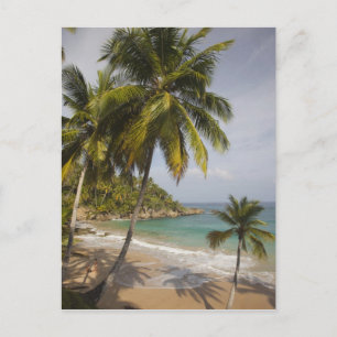 Postal República Dominicana, Costa Norte, Abreu, Playa