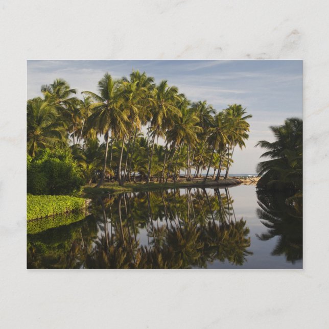 Postal República Dominicana, Costa Norte, Nagua, Playa (Anverso)