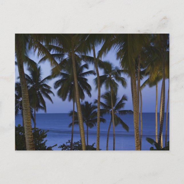 Postal República Dominicana, Península de Samana, Las (Anverso)