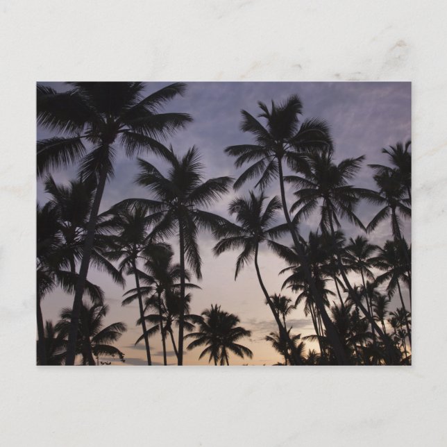 Postal República Dominicana, Península de Samana, Las 2 (Anverso)