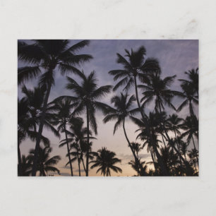 Postal República Dominicana, Península de Samana, Las 2