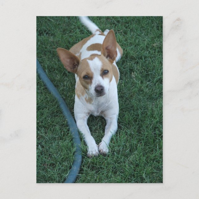 Postal Rescatado (Anverso)