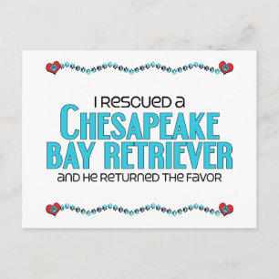 Postal Rescaté a un recuperador de la bahía de Chesapeake