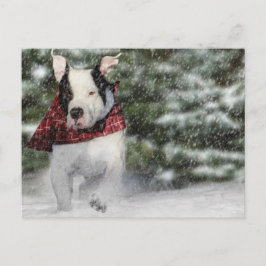 Postal Rescate de bulldoges cayendo por la nieve