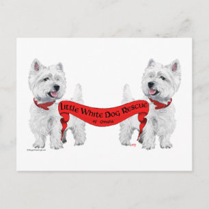 Postal Rescate de Perritos Blancos
