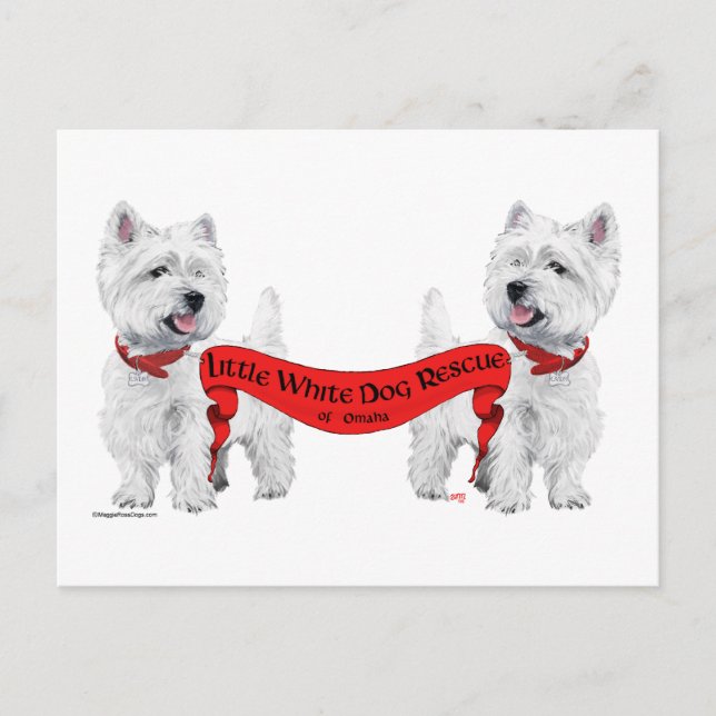 Postal Rescate de Perritos Blancos (Anverso)