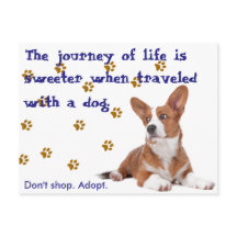 Rescate. No compres.