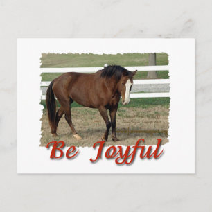 Postal Rescató a Morgan Horse: Ser alegre
